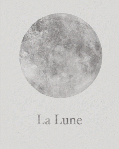 La-Lune-Grey-Faded-8x10